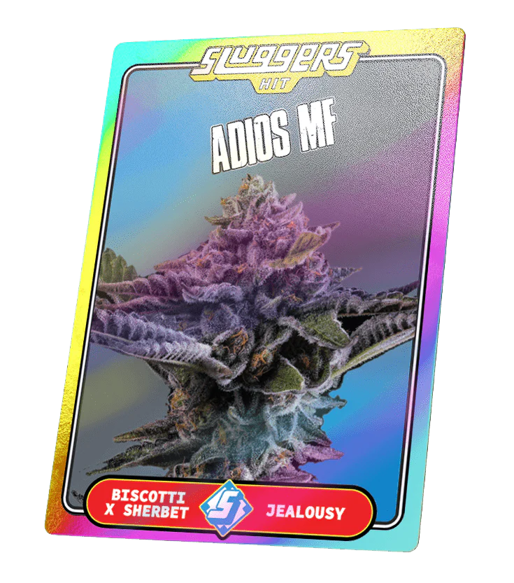 Adios MF Indica Juiced* 5-Pack - Image 7