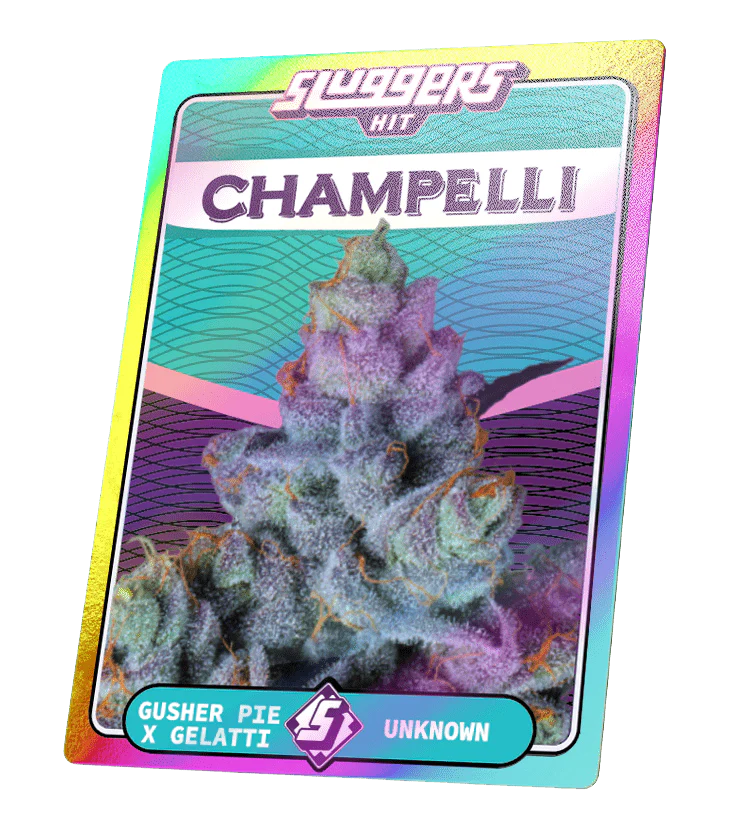 Champelli Cassis Indica Juiced* 5-Pack - Image 8