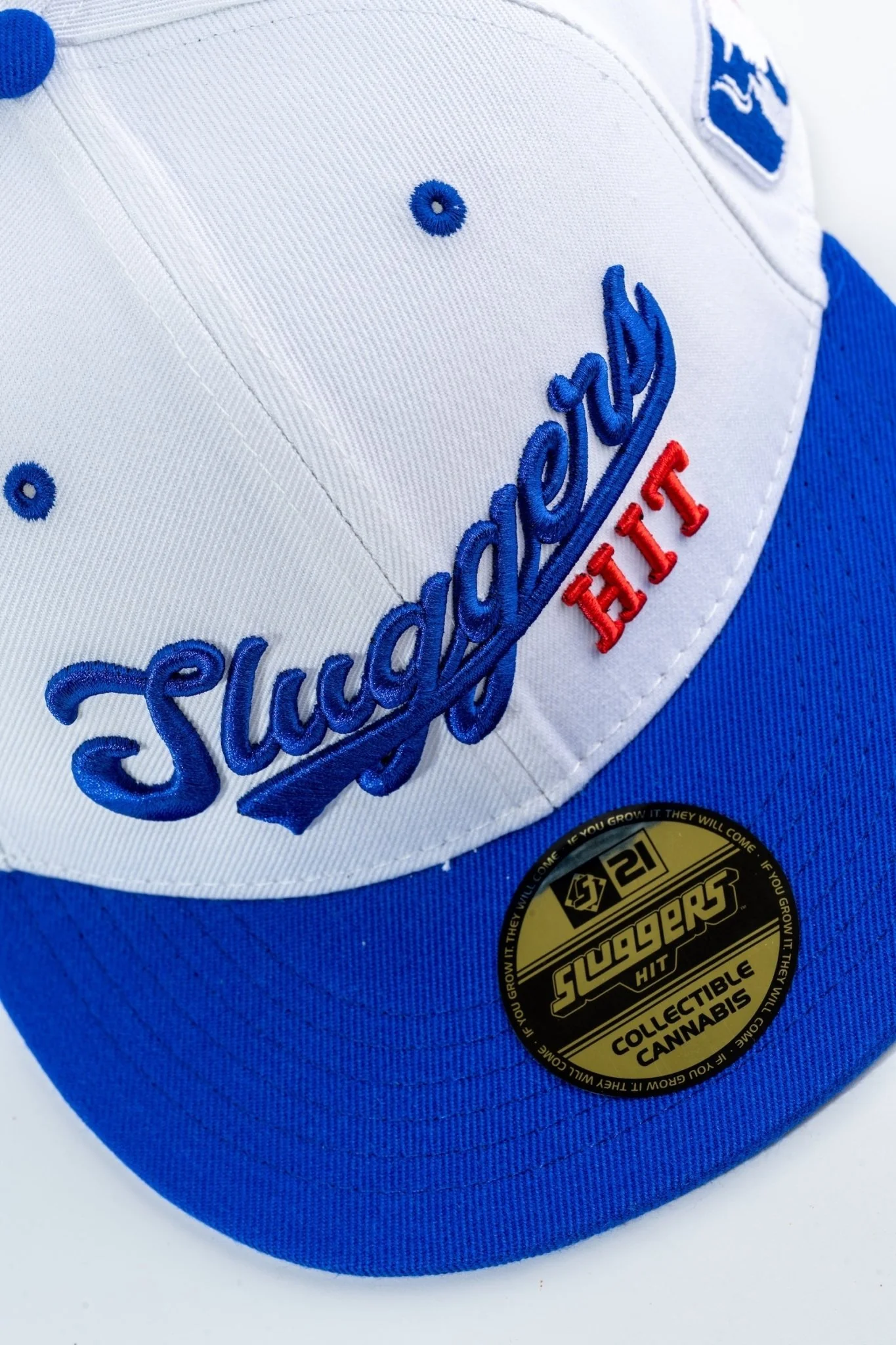 LA Blue Hat - Image 10