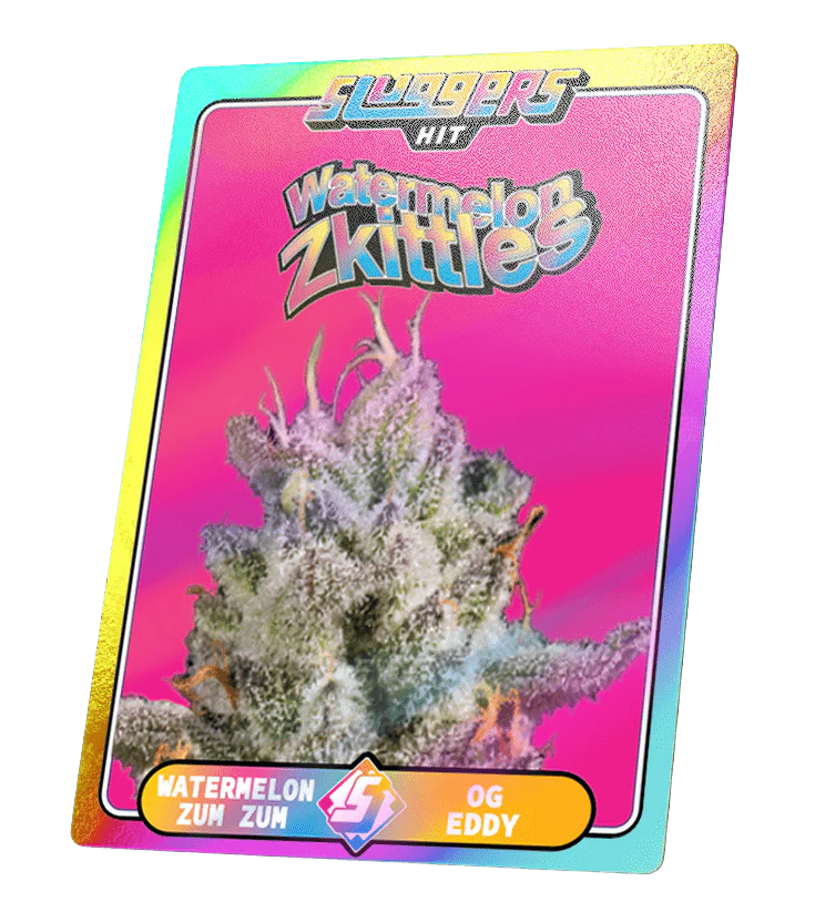 Watermelon Zkittles Hybrid Juiced* 5-Pack - Image 7